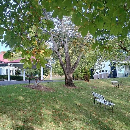 Moore Park Inn Armidale Εξωτερικό φωτογραφία