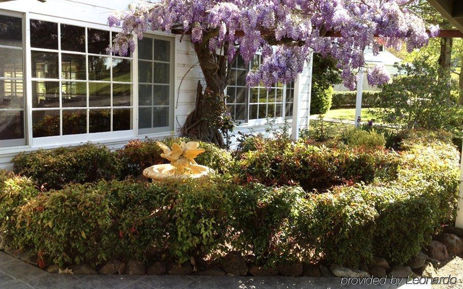Moore Park Inn Armidale Εξωτερικό φωτογραφία