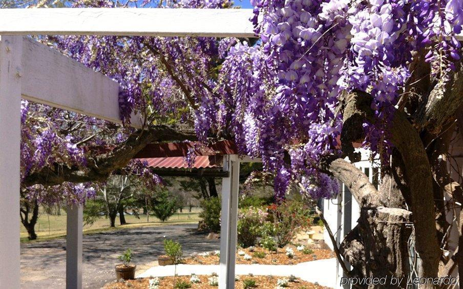 Moore Park Inn Armidale Εξωτερικό φωτογραφία