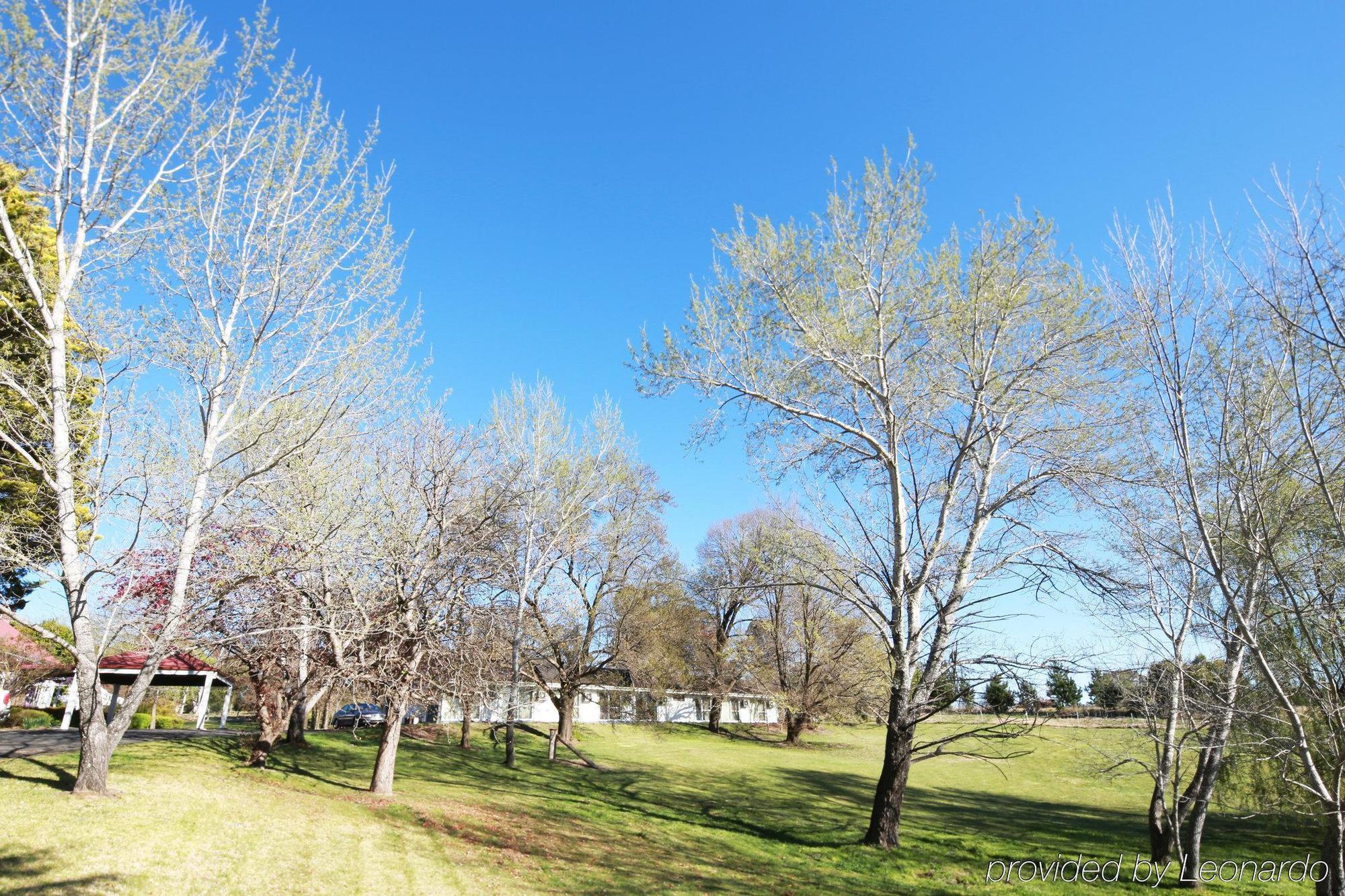 Moore Park Inn Armidale Εξωτερικό φωτογραφία