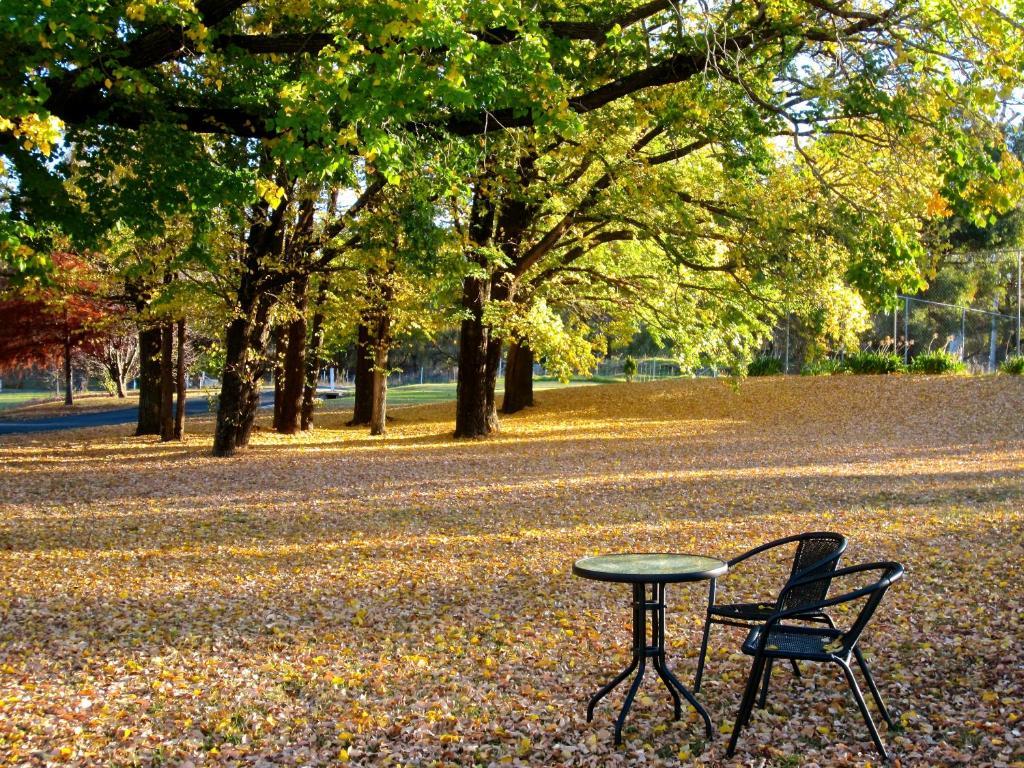 Moore Park Inn Armidale Εξωτερικό φωτογραφία