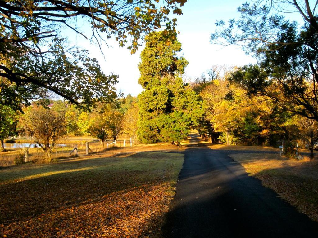 Moore Park Inn Armidale Εξωτερικό φωτογραφία