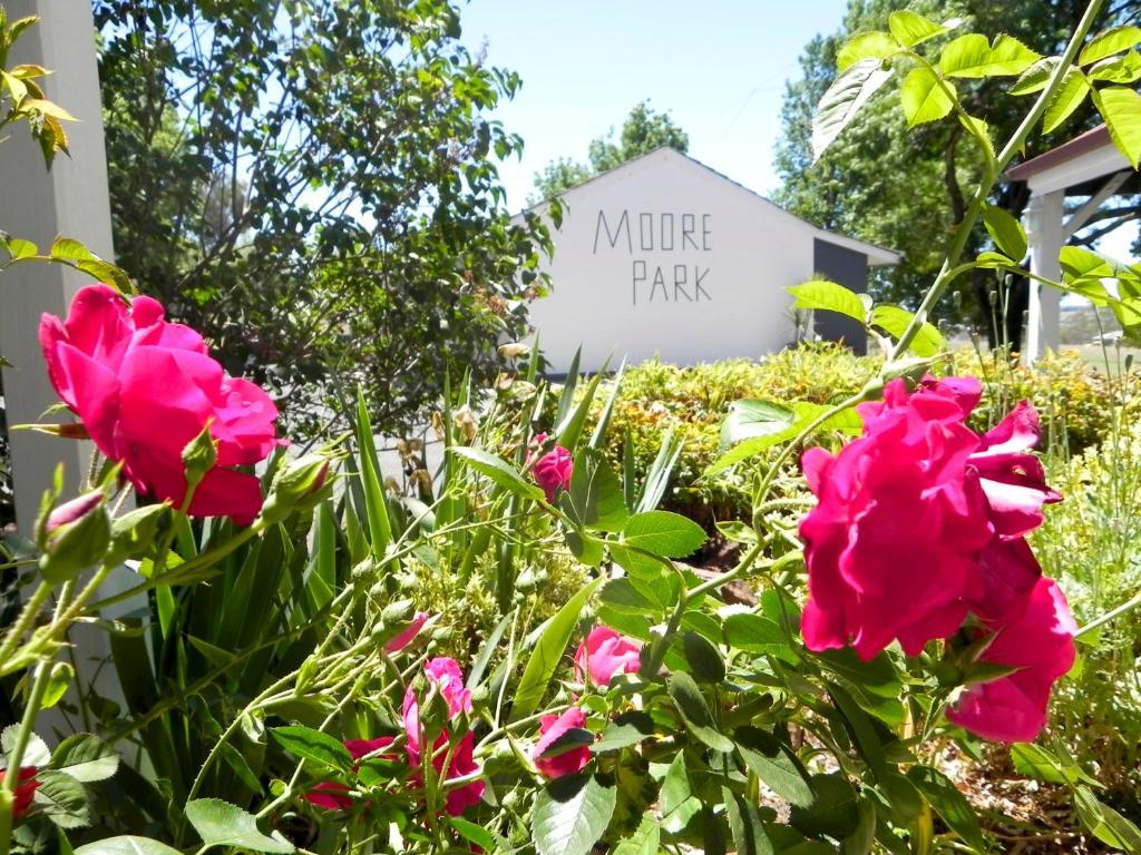 Moore Park Inn Armidale Εξωτερικό φωτογραφία